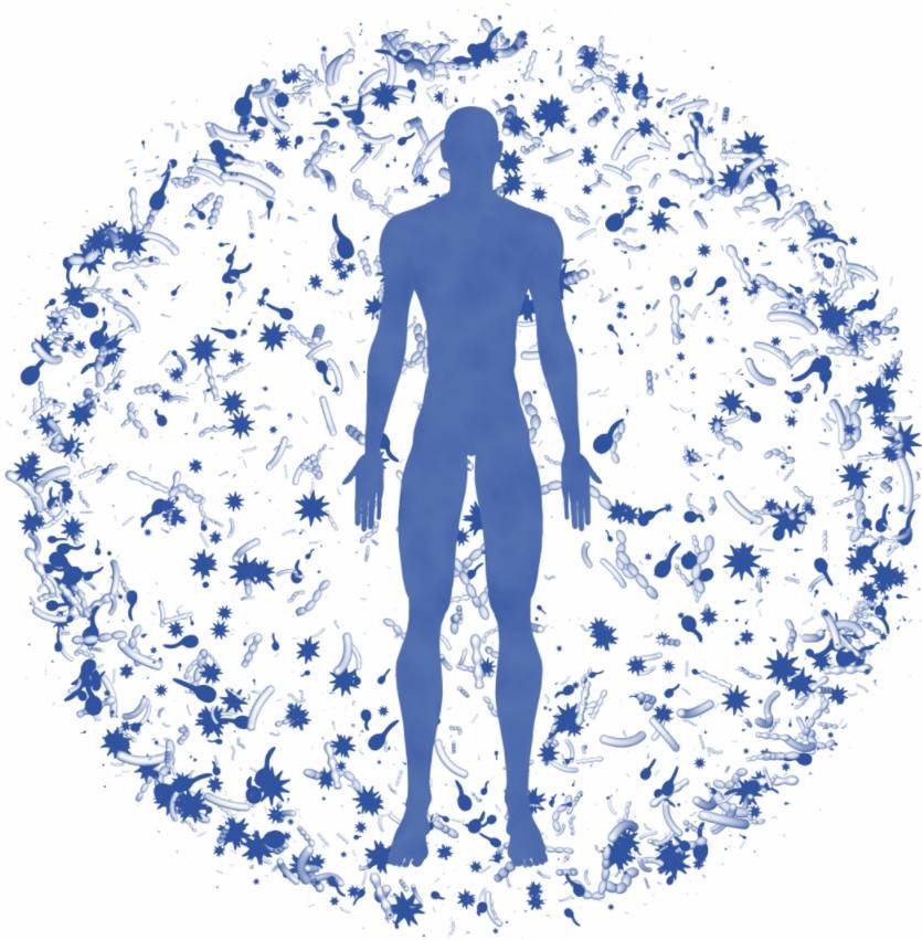 Illustration showing the various microorganisms that make up the human microbiome in different parts of the body.
