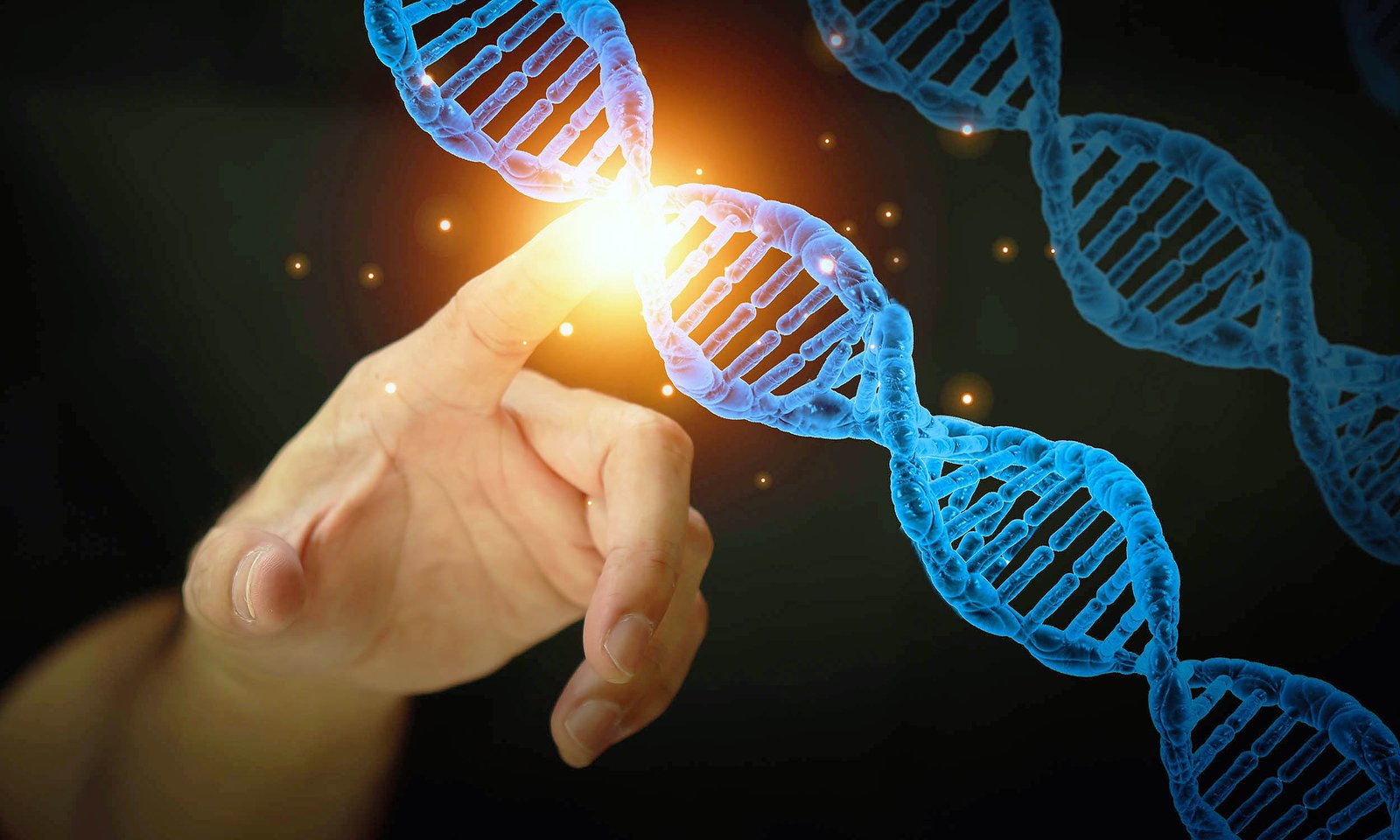 Detailed diagram illustrating how chemical tags like methyl groups and acetyl groups can turn genes on or off by affecting how tightly DNA is packed.
