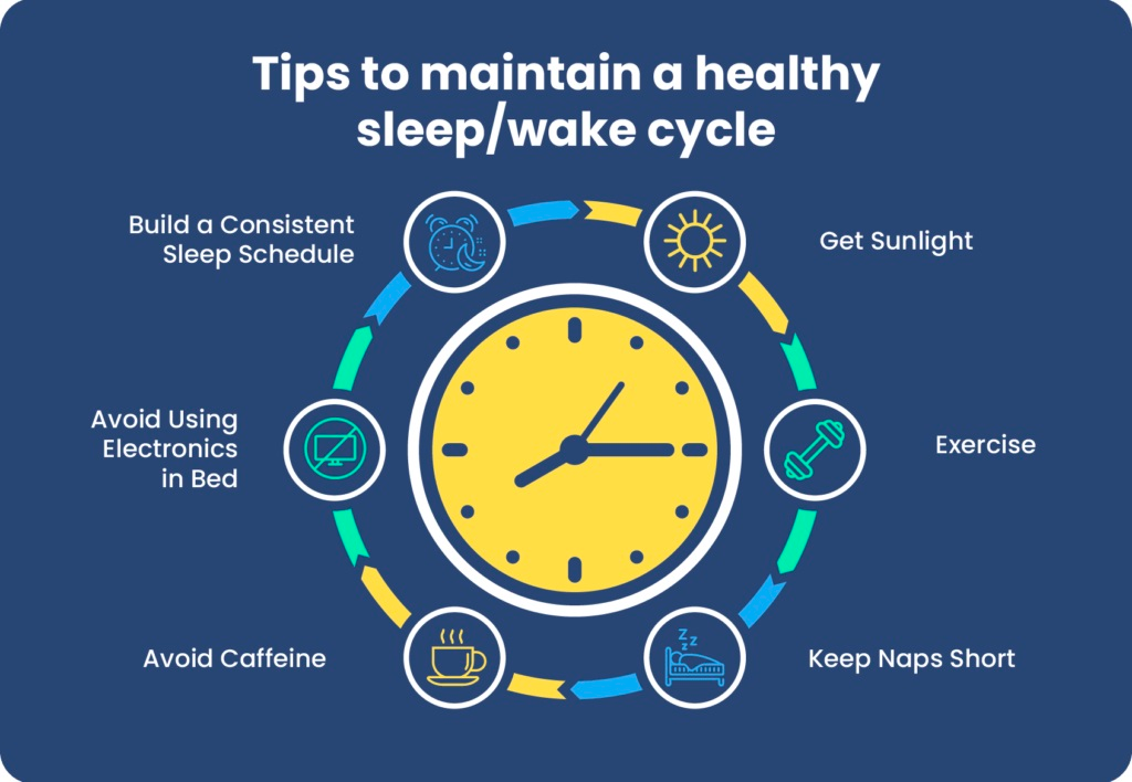 A 24-hour clock diagram showing the peaks and troughs of key bodily functions like cortisol, melatonin, body temperature, and alertness controlled by circadian rhythms.